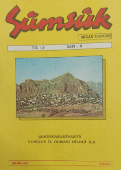 Dergi sümsük